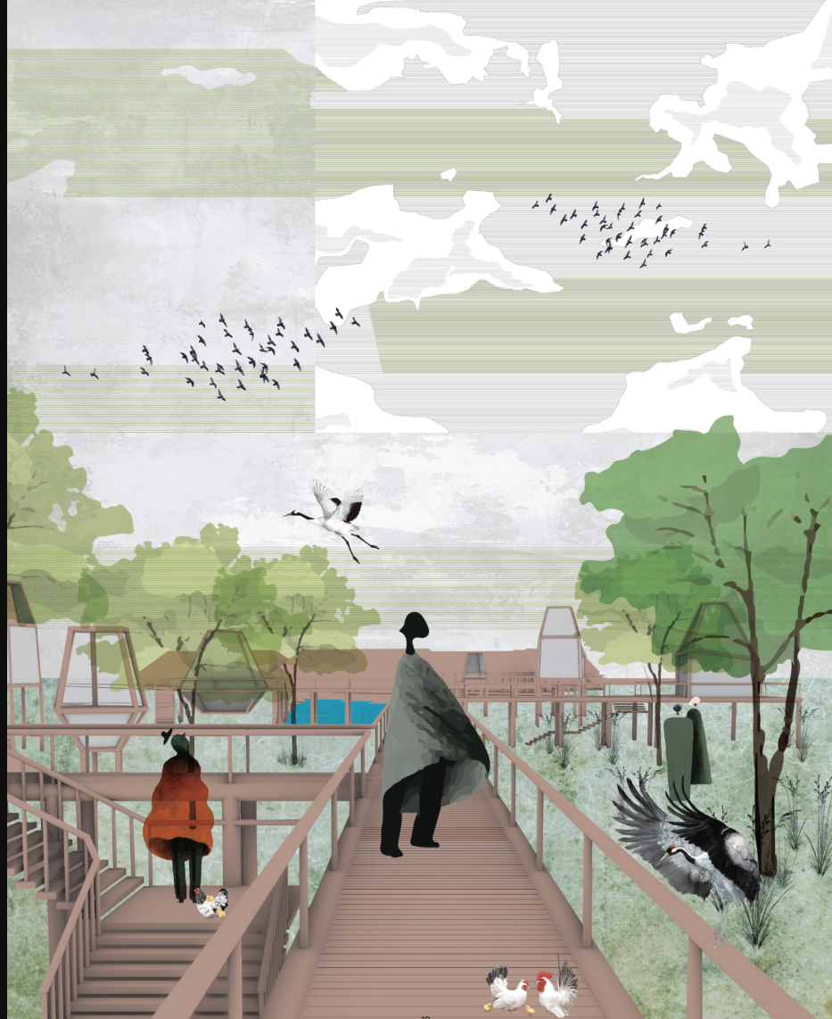 Illustrated section perspective of elevated timber walkways connecting structures amid wetland vegetation and flying birds