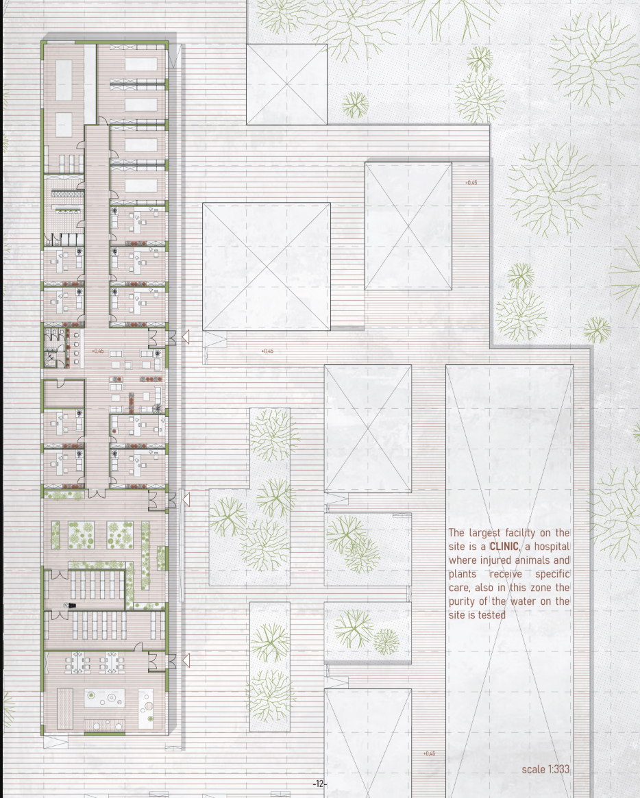 Site plan drawing depicting linear clinic building with courtyards and dispersed pavilions among illustrated wetland vegetation