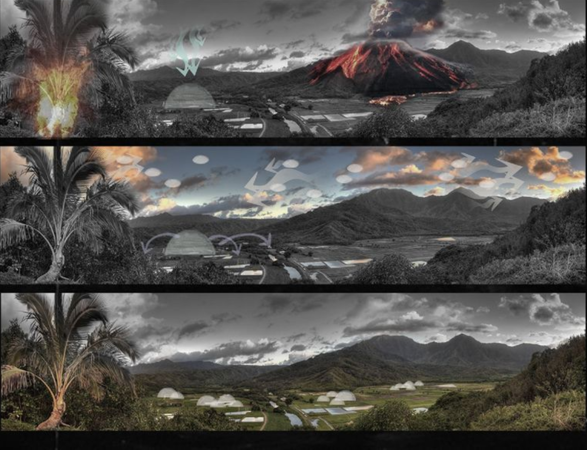 A visual narrative of destruction, deployment, and regeneration through the biomimetic architectural response of "The Swarm"