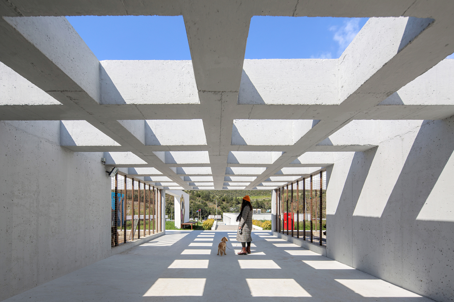 Pako Street Animal Social Life Campus by Mert Uslu Architecture: a housing ecosystem that reimagines how humans and animals share residential space