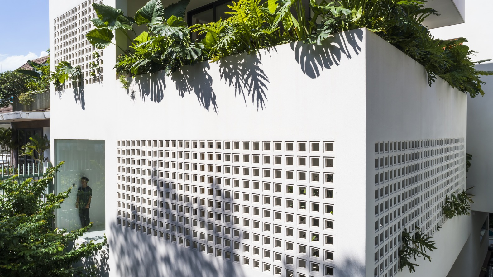 White perforated block wall topped with lush foliage casting shadows in bright sunlight