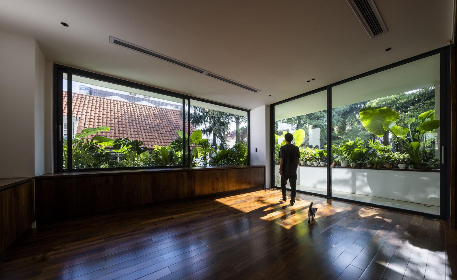 Interior room with timber flooring and glazed walls overlooking planted terrace with tropical vegetation