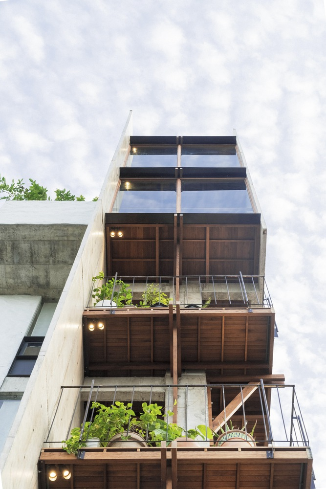 Upward view of timber balcony screens with planted beds and overhead power lines crossing the frame