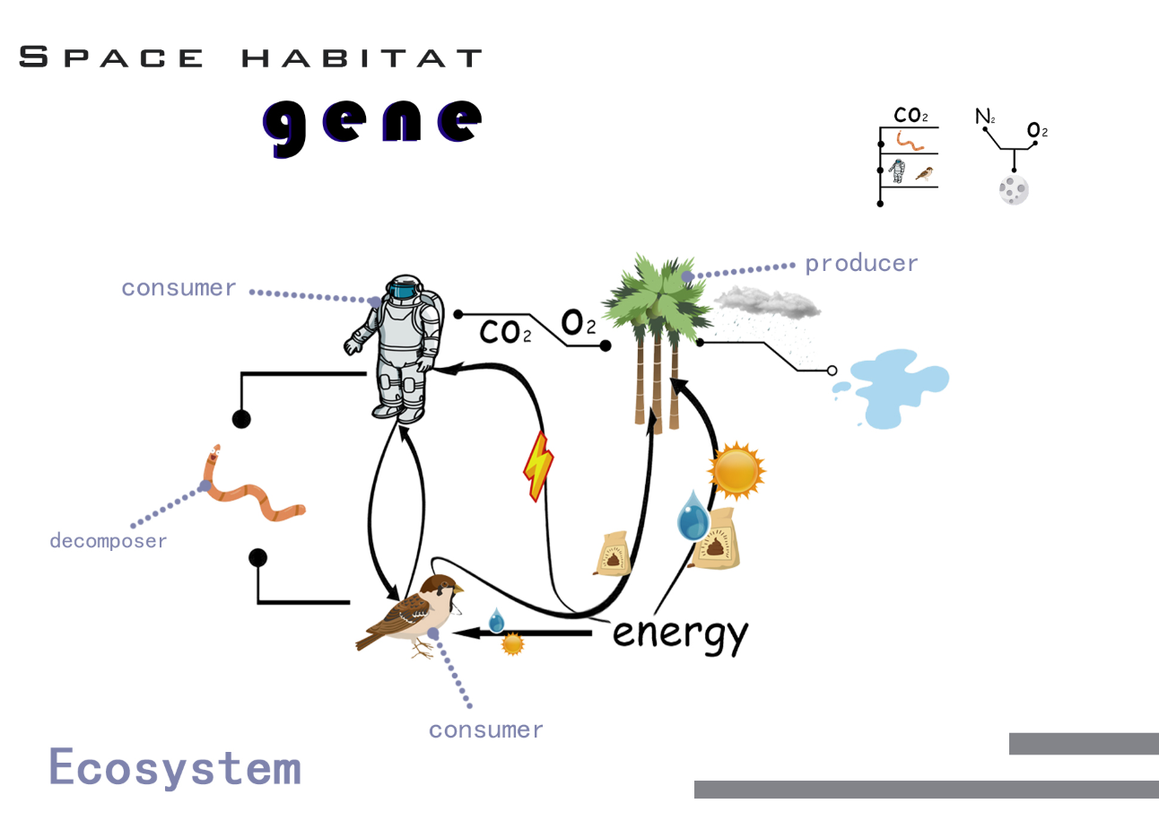 Visualizing a closed-loop ecosystem with plants, animals, and decomposers sustaining life in a space habitat.