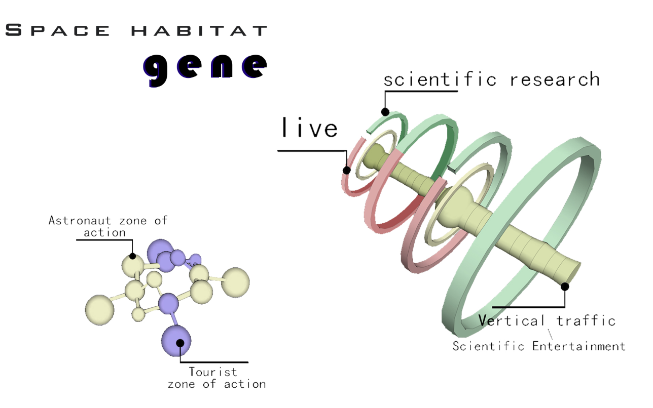 Structural breakdown of living, scientific, and recreational zones along a rotating central axis for space efficiency.