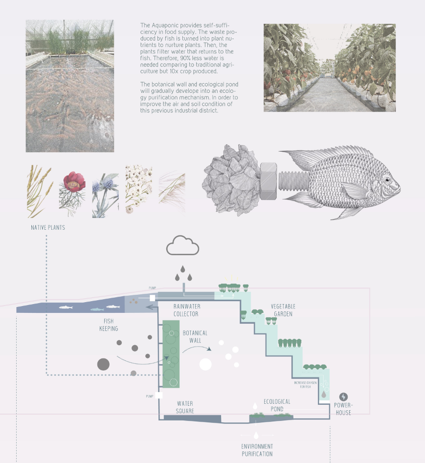 A closed-loop ecological system recycles rainwater and nurtures plants using aquaponics and native vegetation.