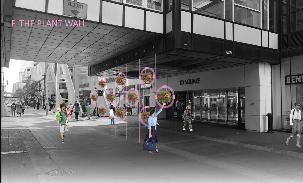 Community-driven plant walls bring nature and exchange into the heart of the city.