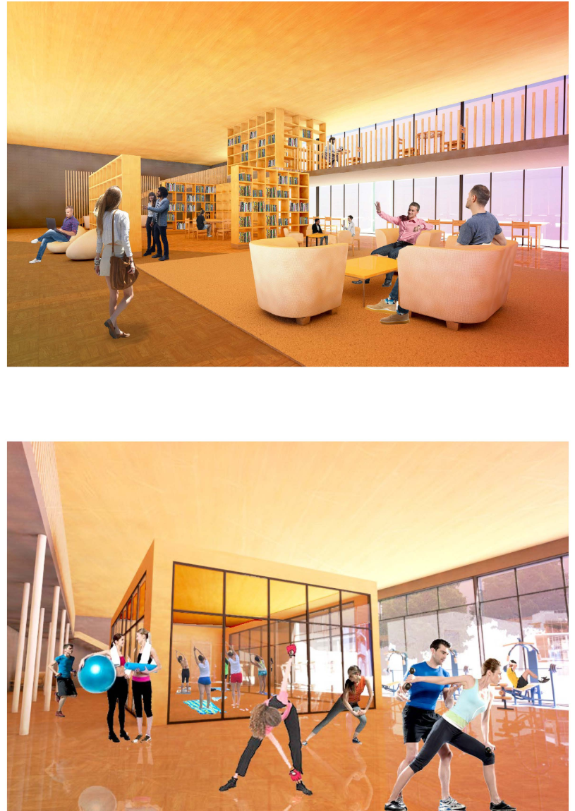 Dynamic gym facility featuring open workout zones and glass-walled activity rooms.