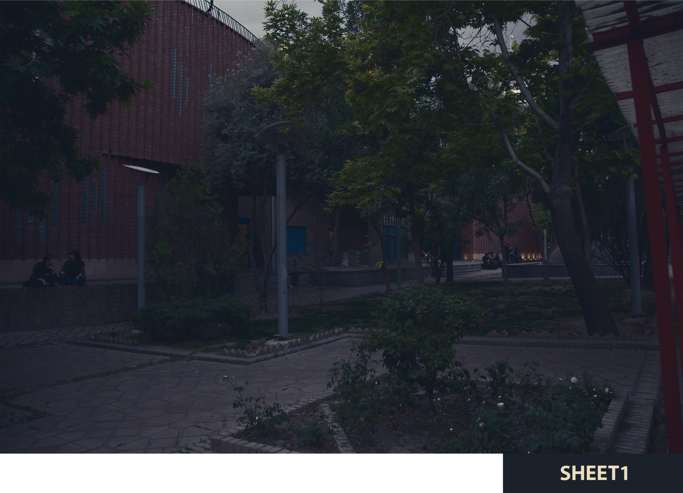 Planted beds with flowering shrubs and white light poles beside brick paving at dusk