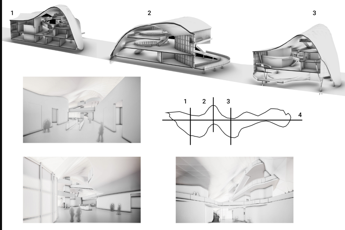 Section drawings and interior renderings showing spatial volumes beneath the undulating shell roof