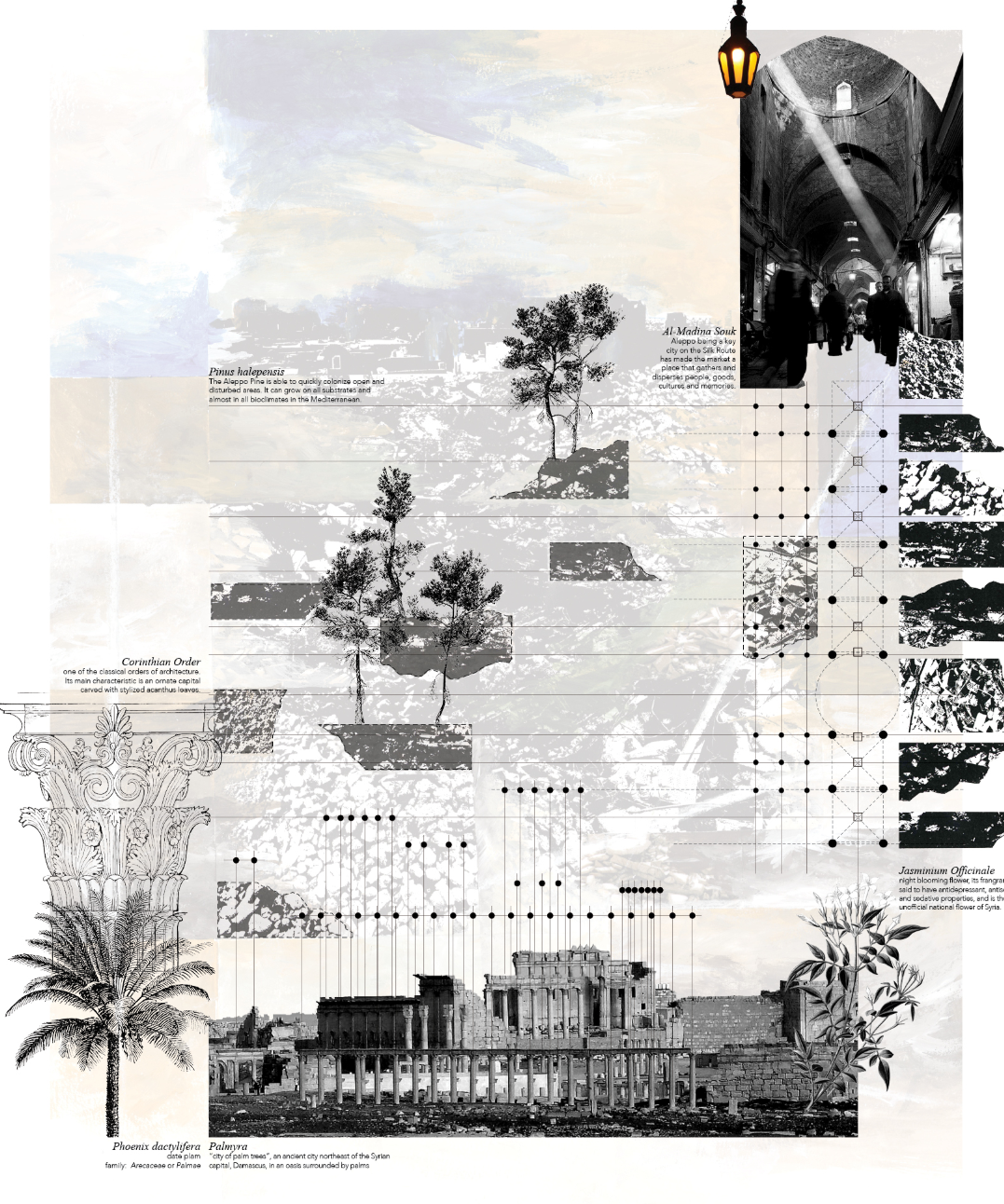 Architectural fragments and botanical studies reframe Syria’s historical landscapes through resilient design.