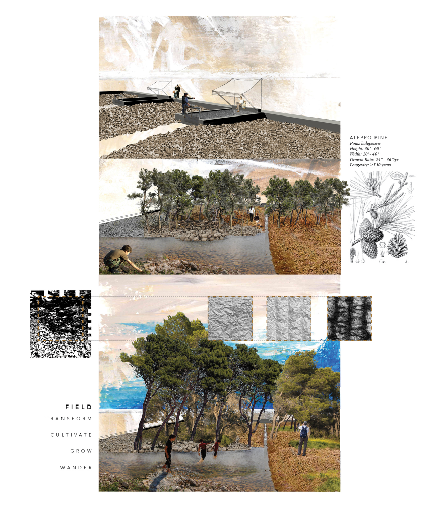 A cultivated terrain of transformation—where crushed debris nurtures growth, reflection, and ecological rebirth.