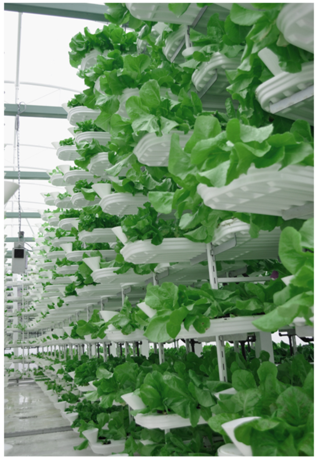 Layered hydroponic setup enabling high-yield agriculture within tower interiors.