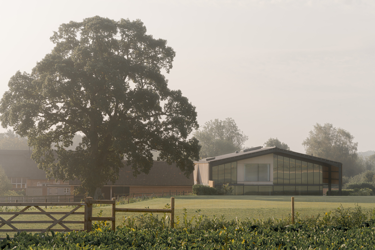 Long view of the low-slung pavilion with barrel roof and glazed facade across a mown lawn in morning mist