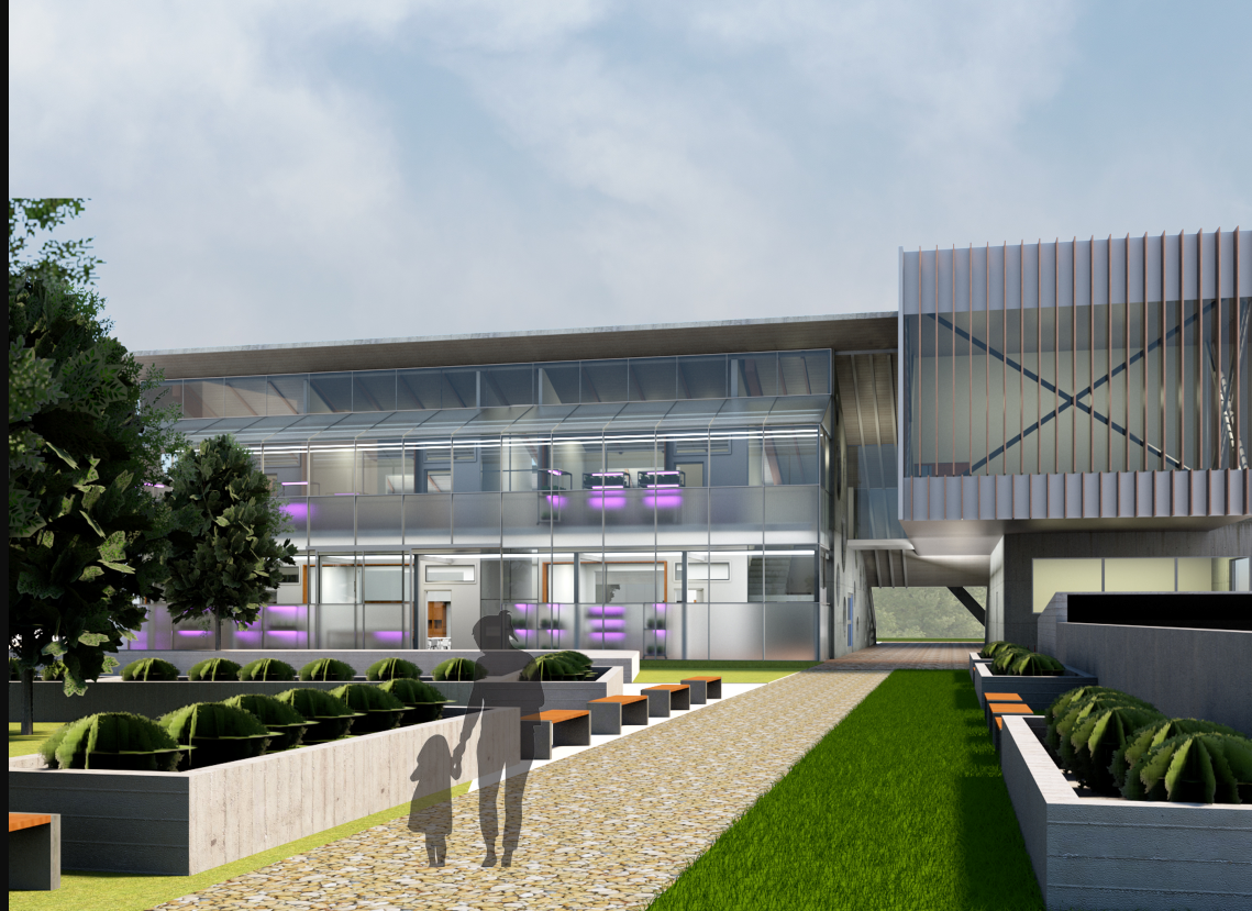 Welcoming green approach path connecting architecture with outdoor learning landscapes.