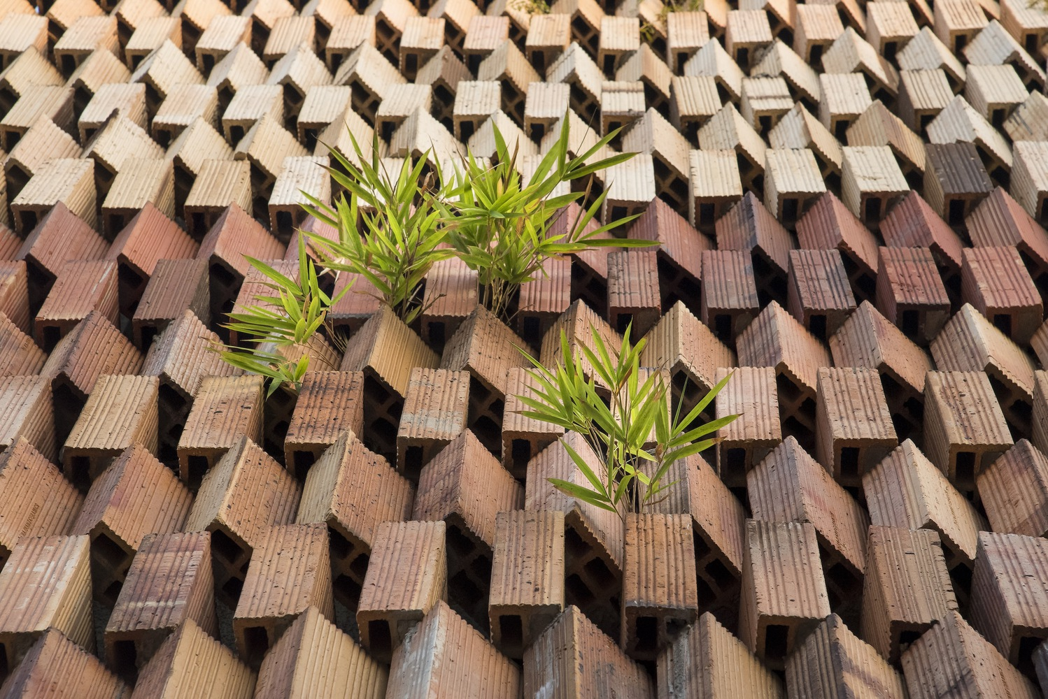 Image showcasing Sustainable Luxury Housing - RTF | Rethinking The Future