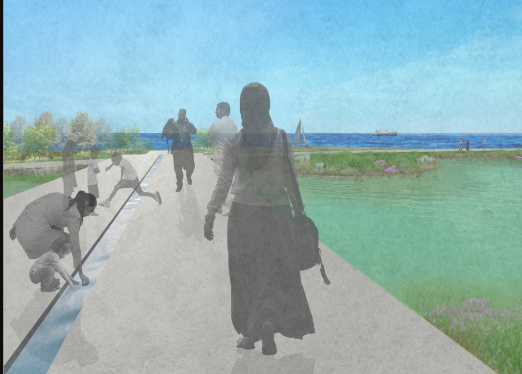 A central water channel invites touch and play, linking sensory engagement with natural wetland systems.