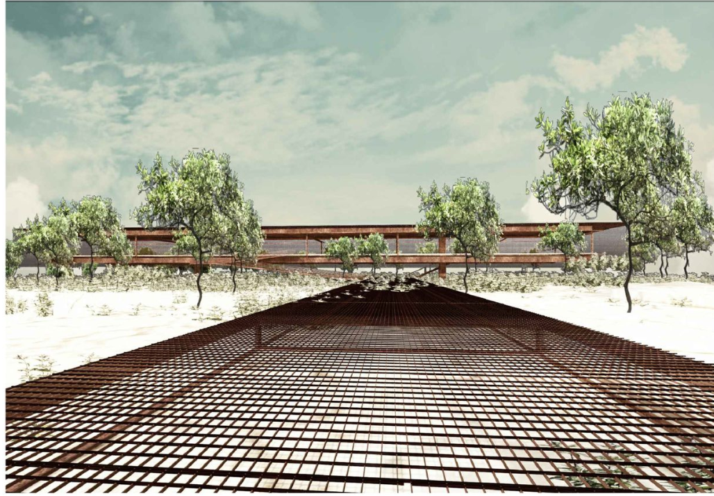 Linear path and native trees lead toward the open framework of the Walk&Talk Hub, emphasizing site integration.
