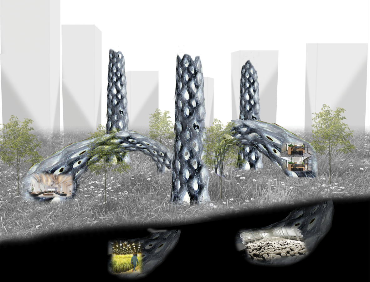 Branching roots above and below ground create multifunctional, sustainable environments for agriculture, habitat, and energy.