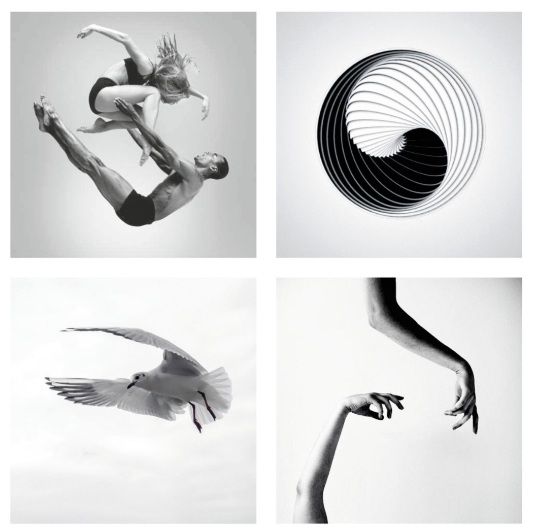 Four black and white photographs showing dancers, a spiral drawing, a bird in flight, and intertwined hands