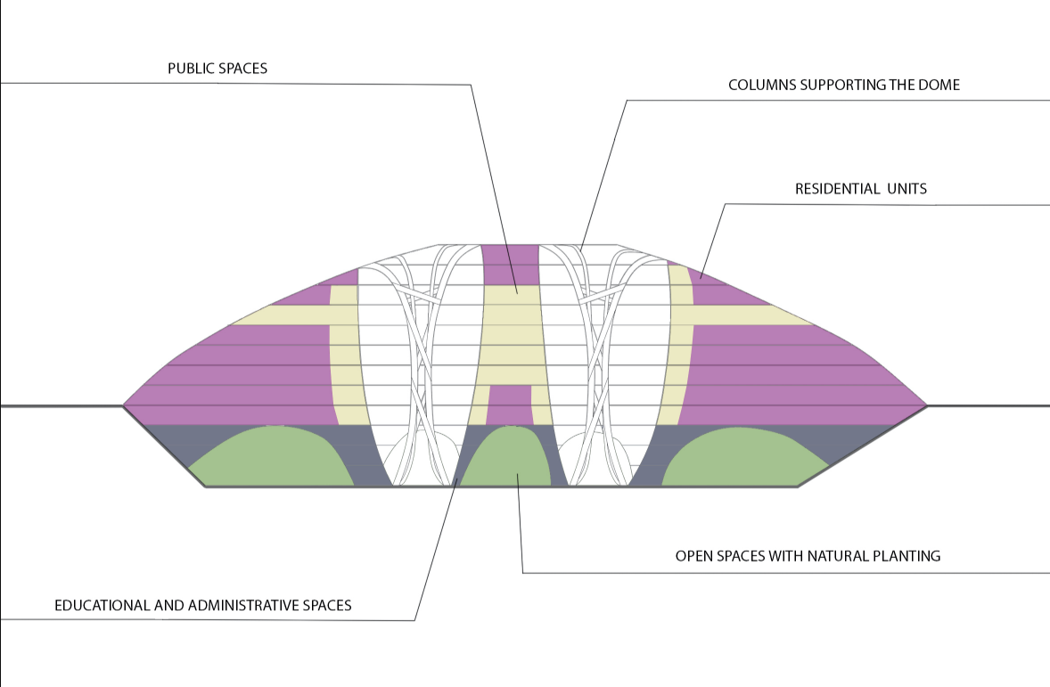 Cross-section showing the layered spatial organization—residential, public, educational, and green zones—under the structural dome.