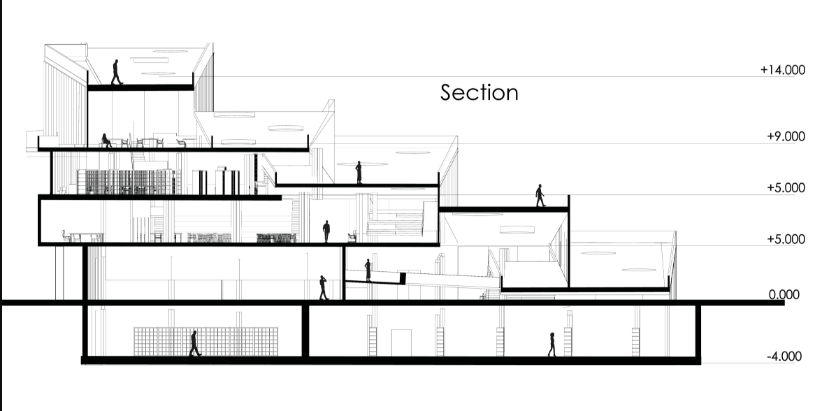 Section drawing revealing interior programs and spatial transitions