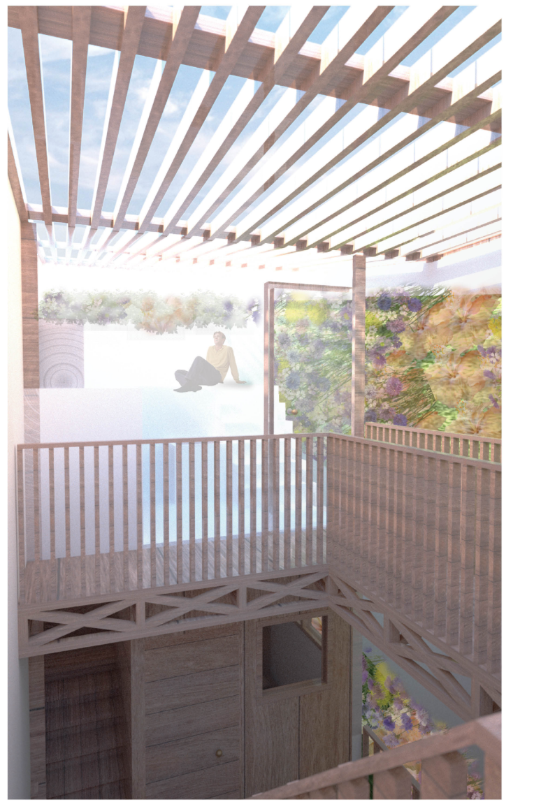 Upper level timber deck with slatted railing and pergola structure filtering bright daylight