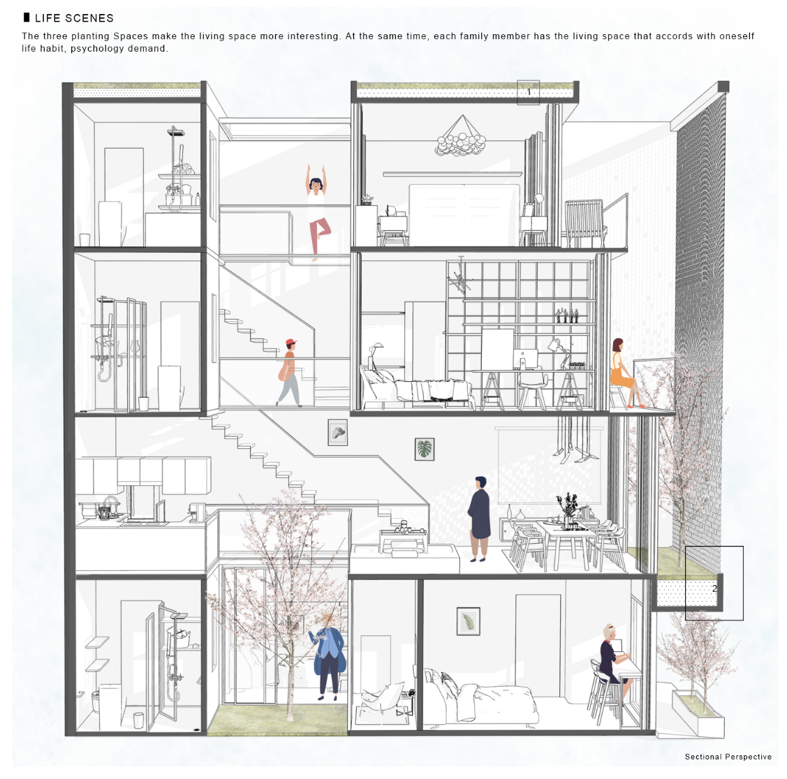 Multi-level design showing cherry planting spaces and interconnected family living.