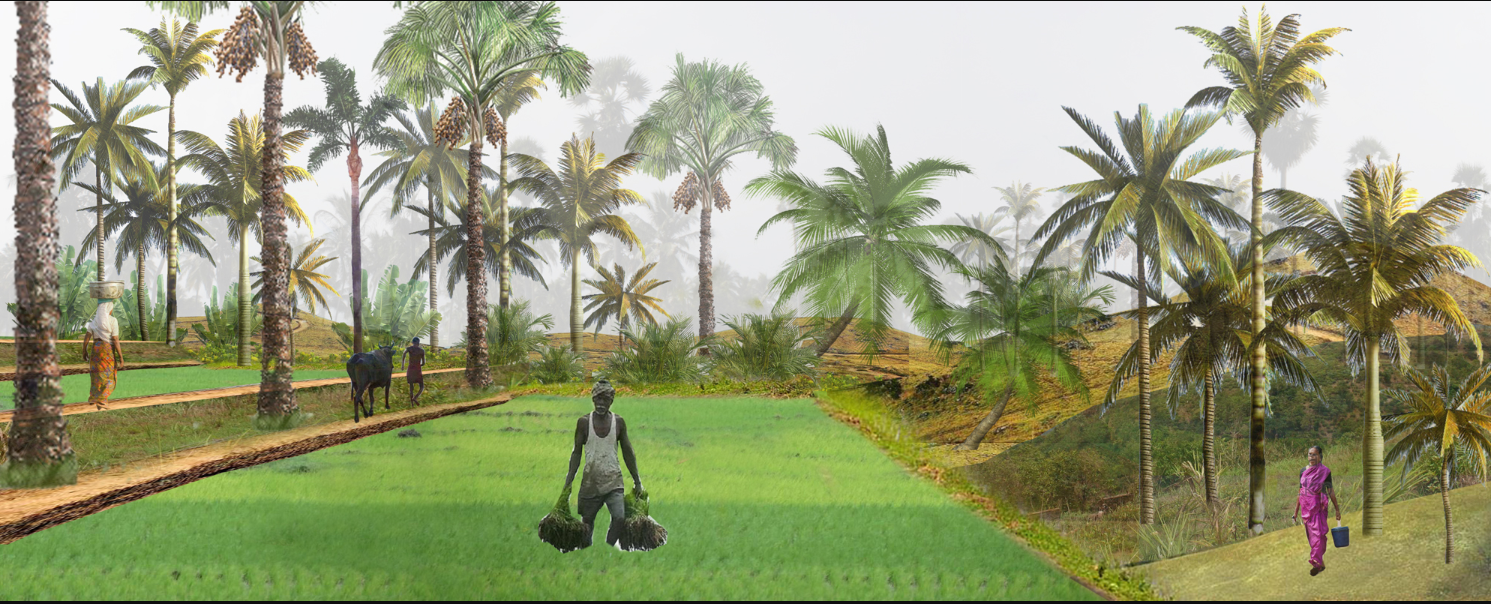 Perspective rendering of terraced rice paddies with palm trees and a farmer carrying baskets in morning mist