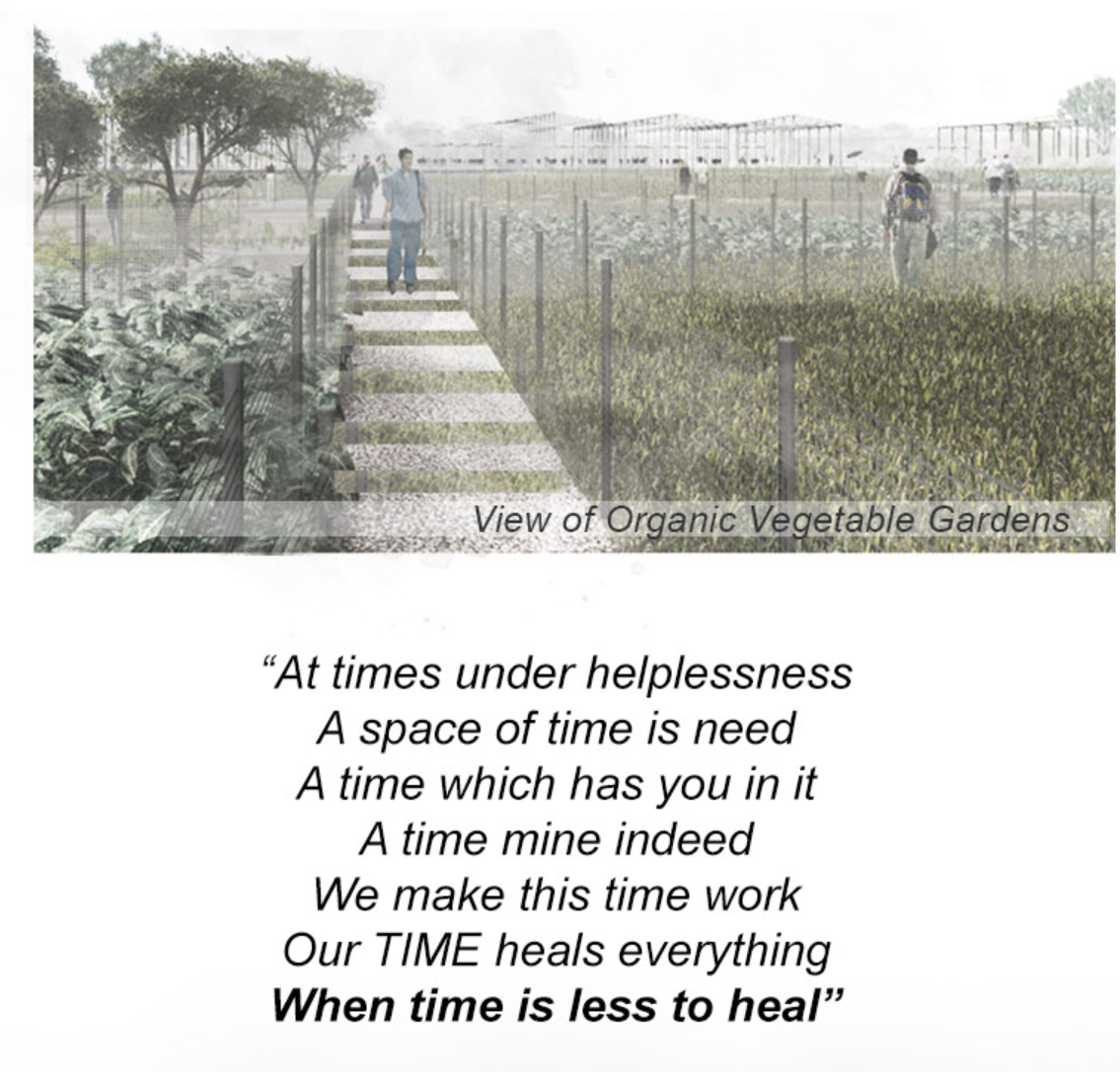 Collective farming and green infrastructure to strengthen food security post-crisis.