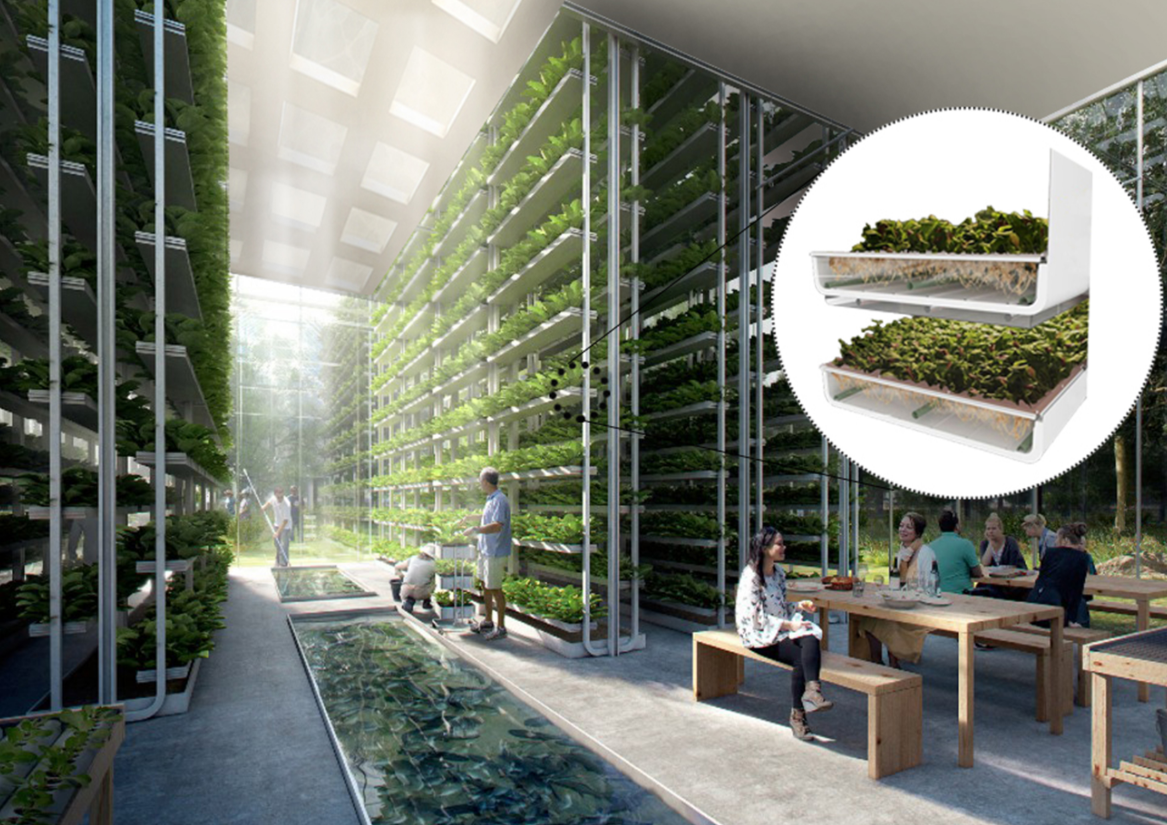 Innovative cultivation spaces that merge food production with social interaction.