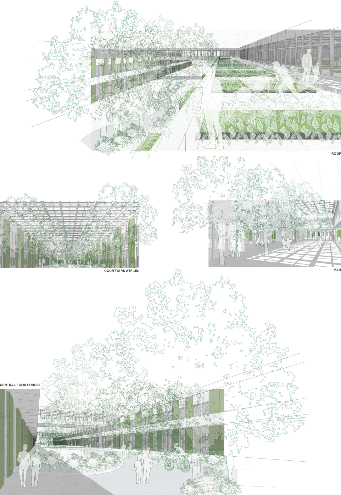 Rooftop farms, atrium courtyards, and central food forests showcase the integration of agriculture into sustainable architecture.