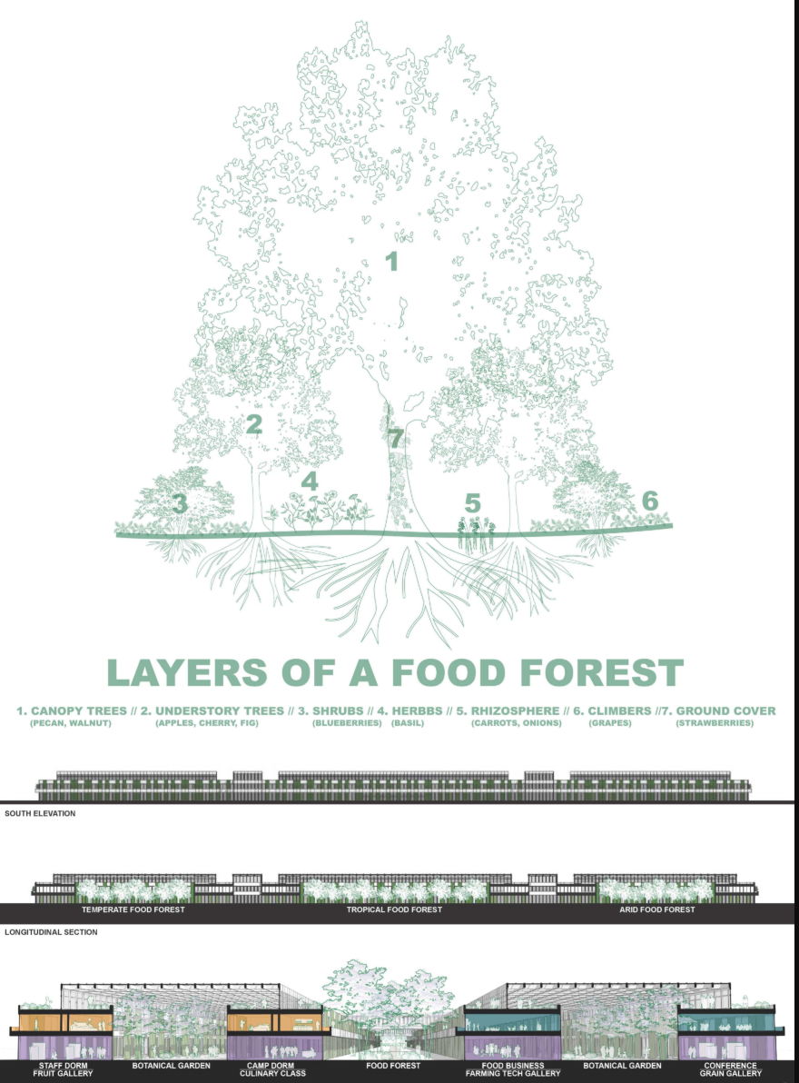 A multi-layered ecosystem of canopy trees, shrubs, herbs, roots, and climbers designed to mimic natural forests in an urban setting.
