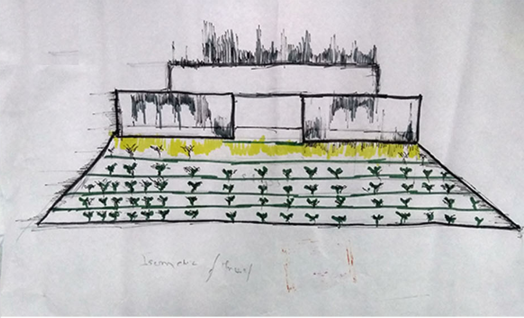 Early sketch illustrating terrace farming as a key feature of the Urban Mountain’s sustainable design.