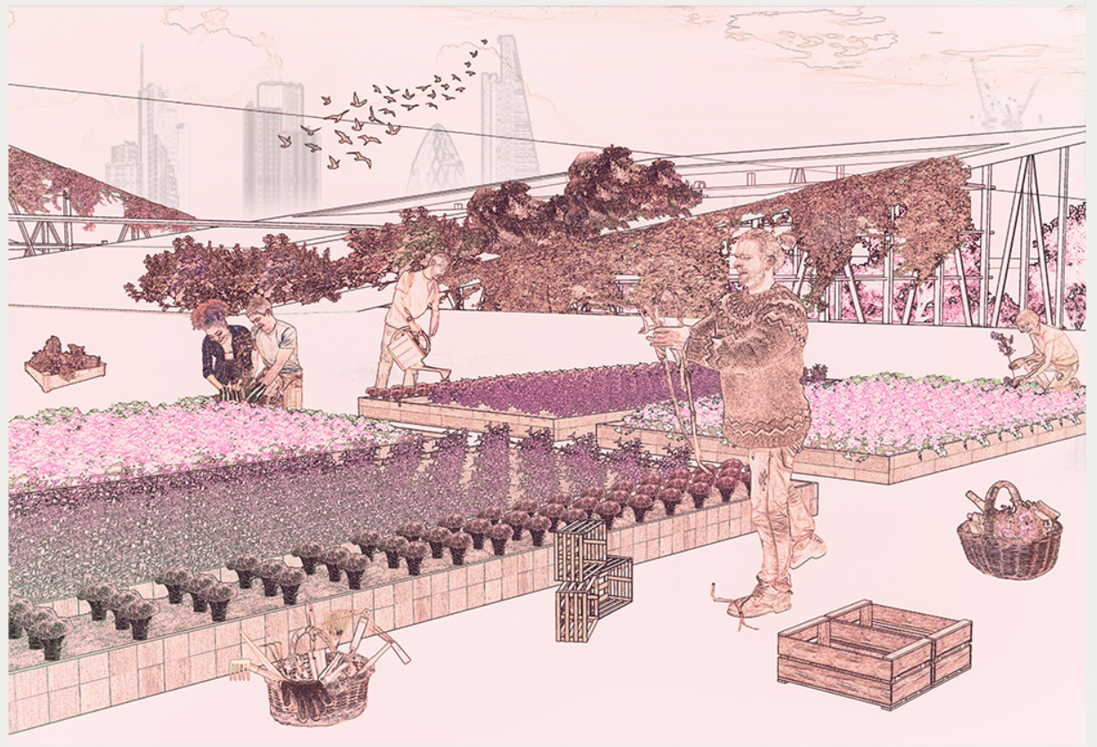 Rooftop cultivation zone where residents participate in hands-on growing activities.
