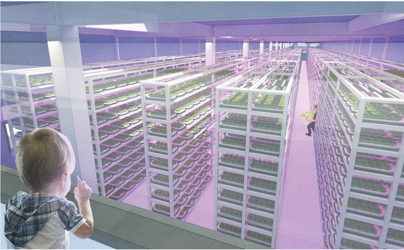 Stacked hydroponic systems maximize food production within limited urban space.