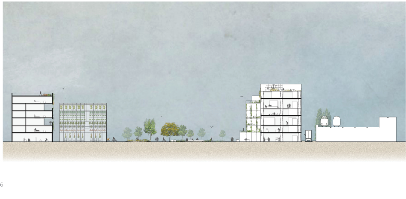Cross-section of vertical farms and housing illustrating layered urban agriculture architecture.