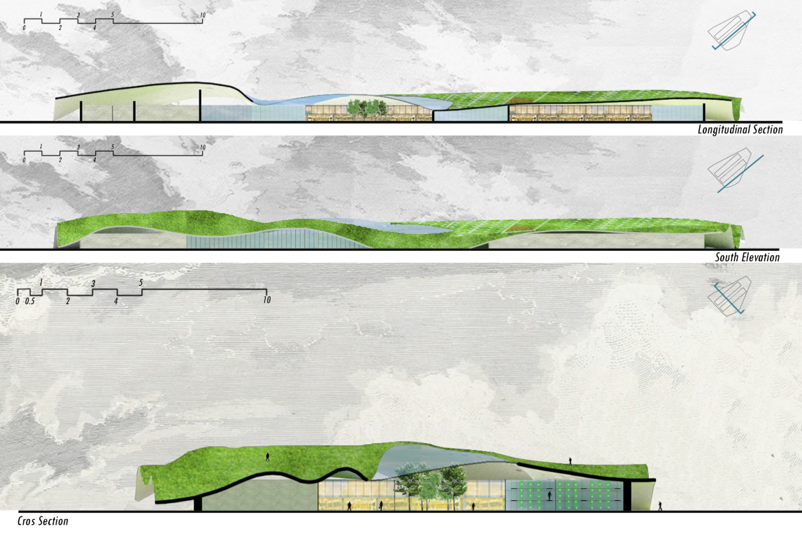 Longitudinal section, south elevation, and cross section drawings showing the green roof flowing over the interior program