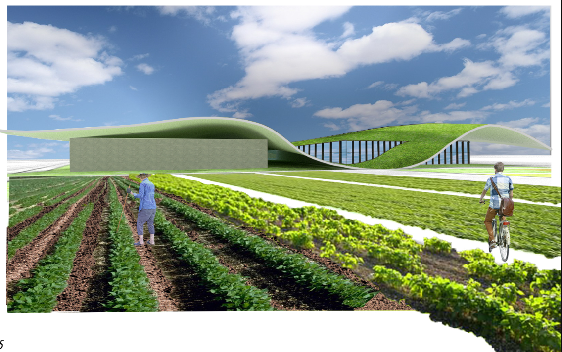 View of the grass-covered roof undulating over glazed walls with agricultural plots and a cyclist in the foreground