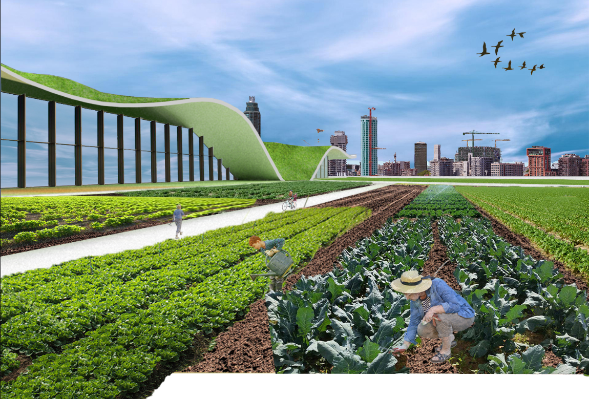 Vegetable rows and workers tending crops beneath the folded green roof with distant city skyline and flying birds