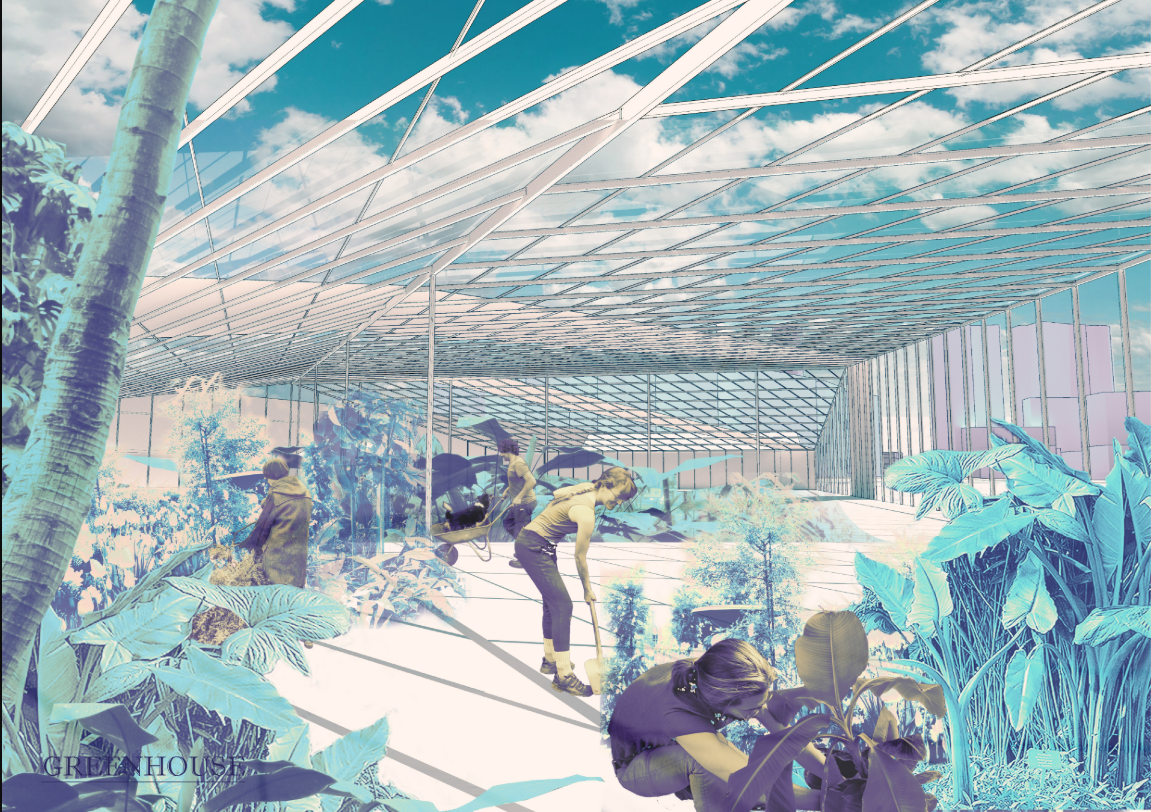 Interior rendering of greenhouse space with diagonal cable structure overhead and visitors among potted tropical plants