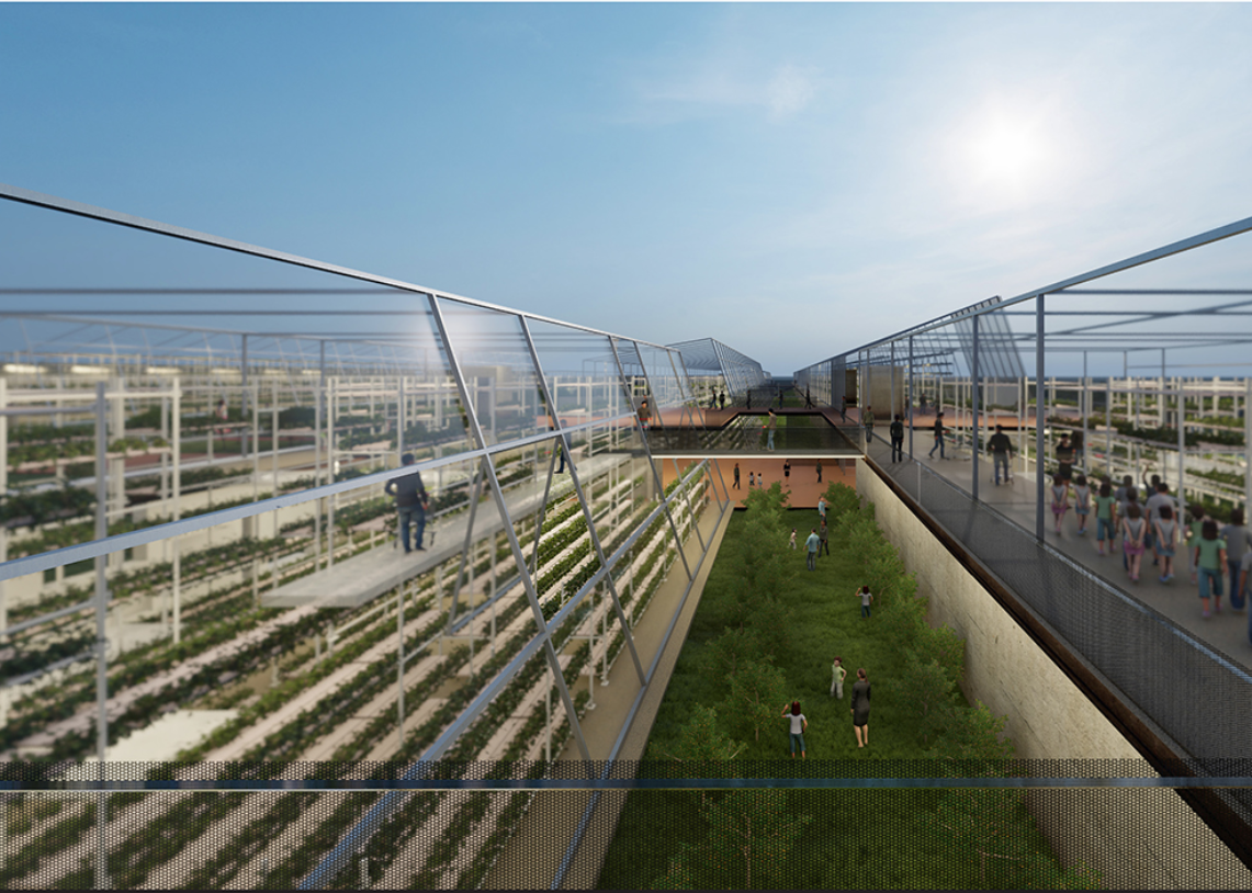 Tilted glass facade of greenhouse enclosing terraced growing beds with people moving through the sunny interior