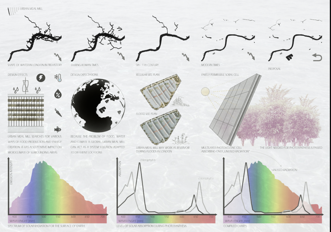 Conceptual diagram board showing deforestation timeline, spectrum graphs, and photosynthesis process for regenerative design
