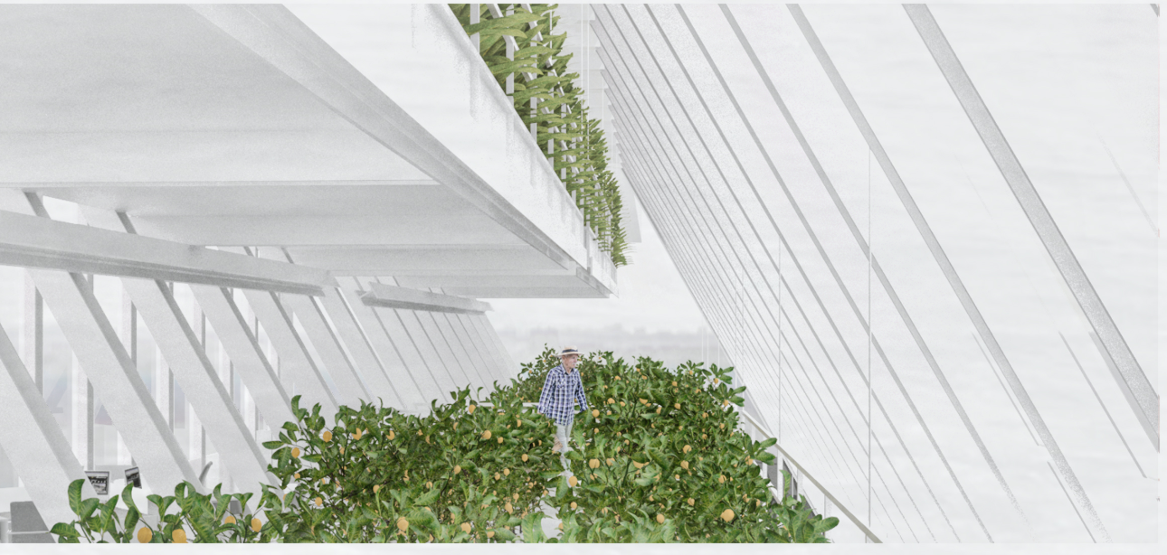 Section rendering showing person tending raised planting beds beneath angled white structural ribs and glazing