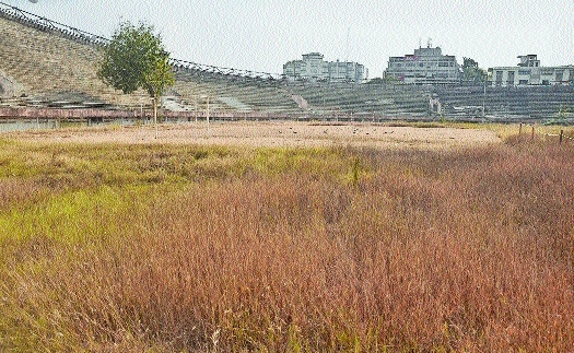 Abandoned Stadium (Source: The Hitvada)
