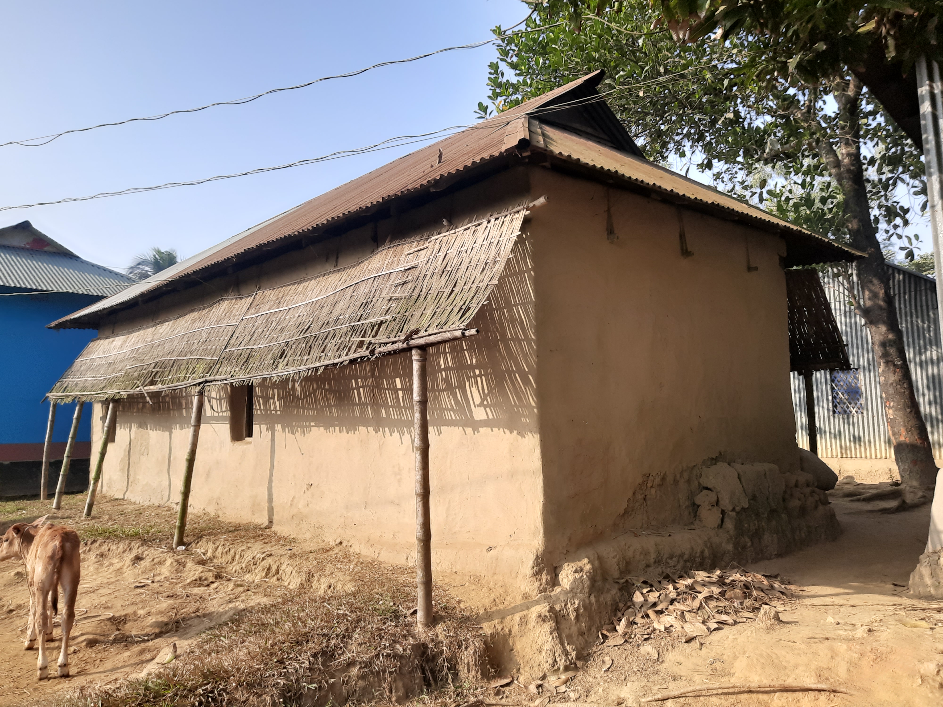 Mehedi132025 10 01T05 26 39 902440