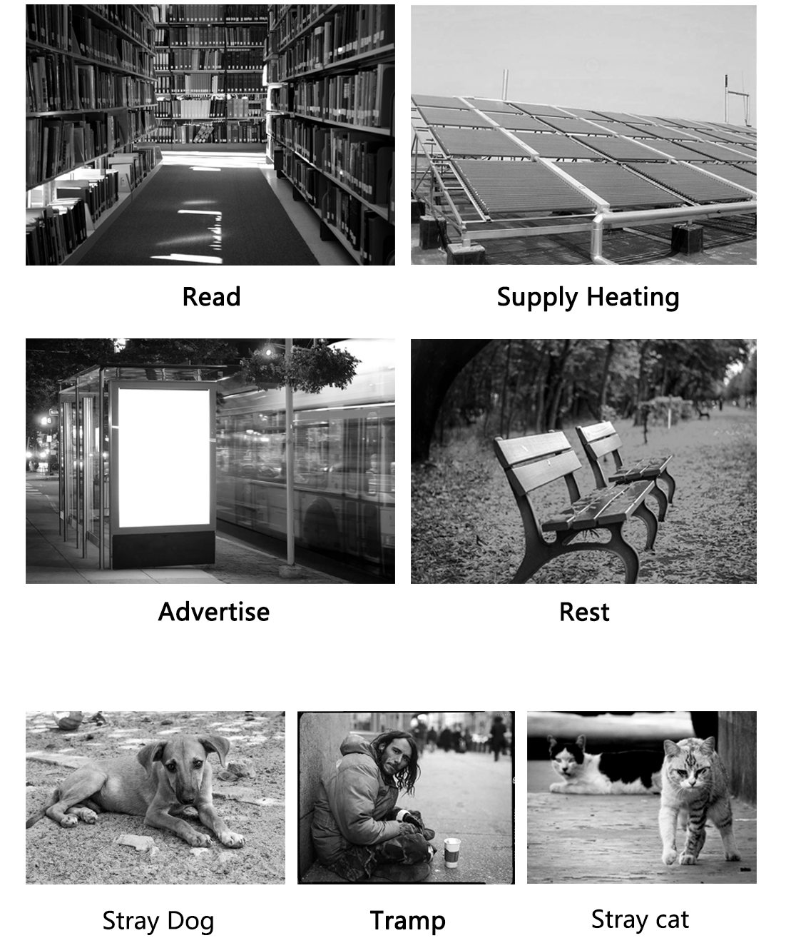 Addressing diverse functions: reading, heating, rest, and care for both people and stray animals.