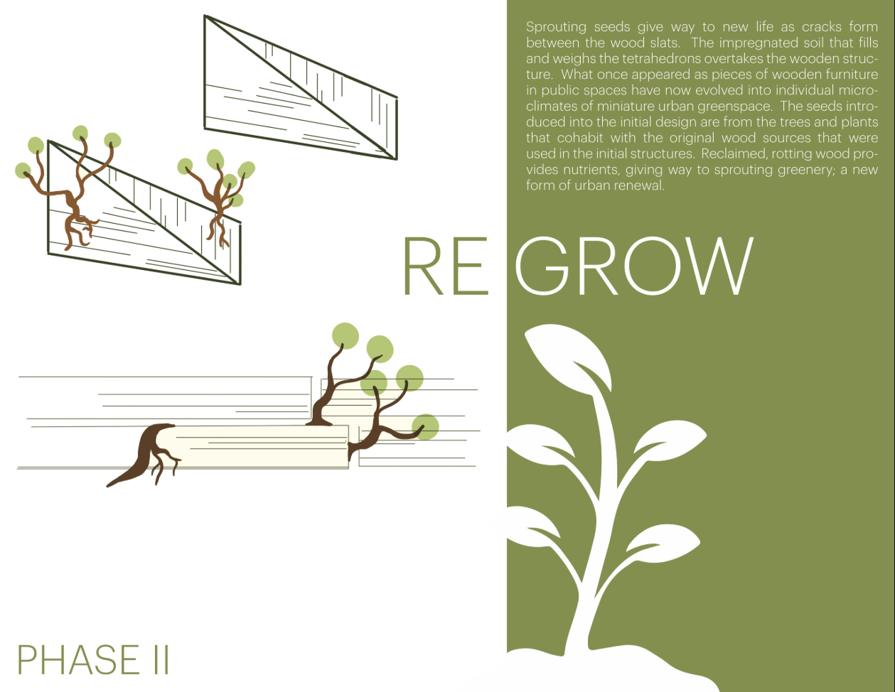 Wooden structures transform into micro-green spaces as nature reclaims the design.