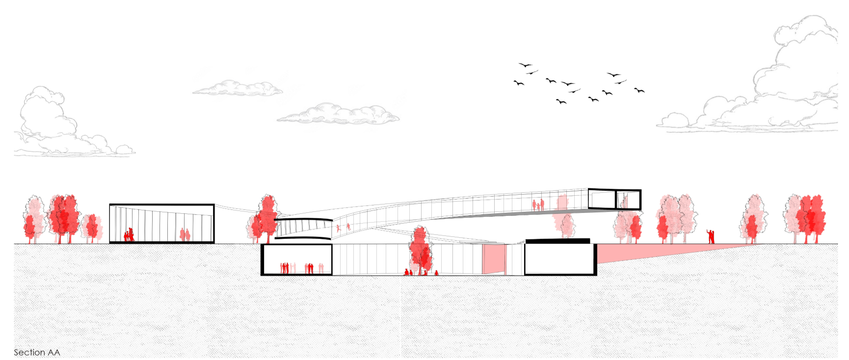 Section drawing depicting split-level interior spaces linked by a sloping pathway with red trees along the roofline