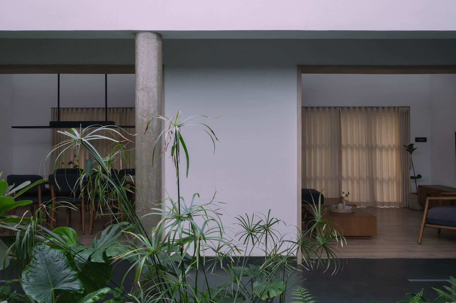 Teal House by Monsoon Projects, Kerala